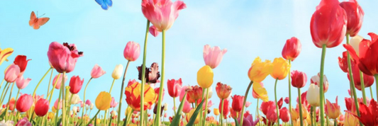 Faith in God Produces Right Standing